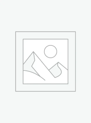 Vegan Antioxidant Toner